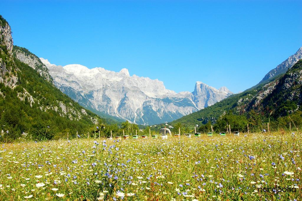 Bujtina Polia Agroturismo *