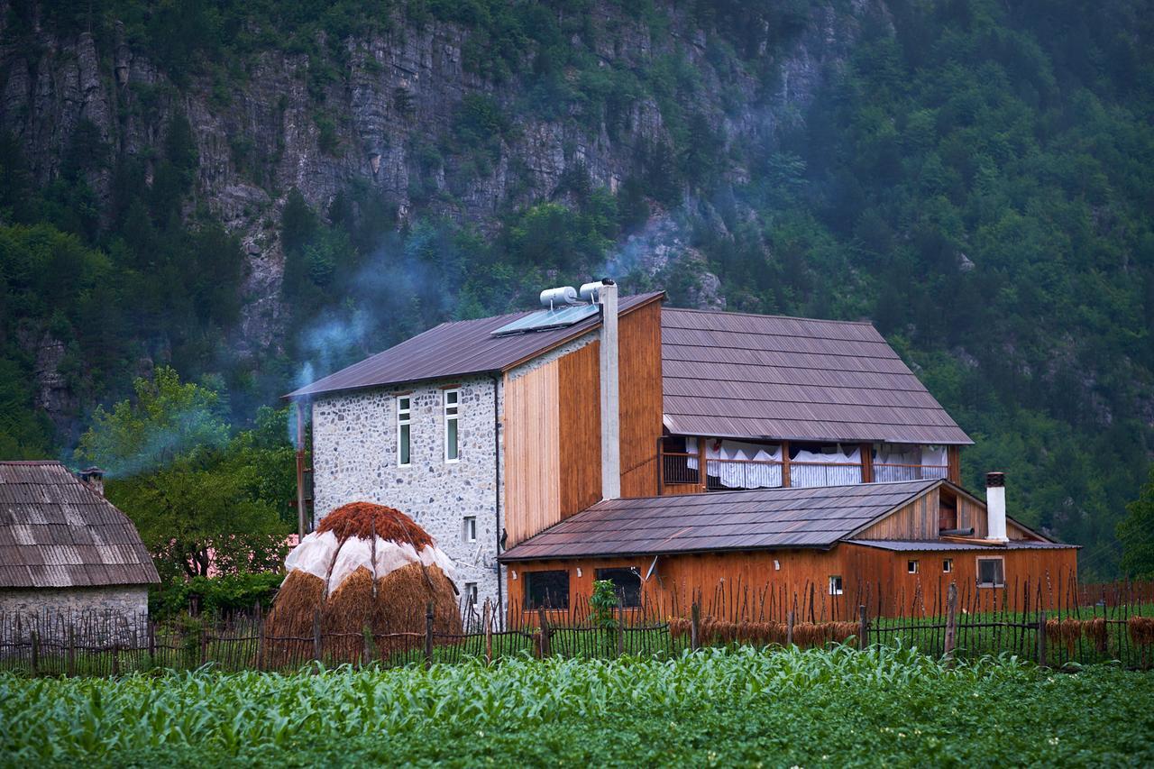 Bujtina Polia *