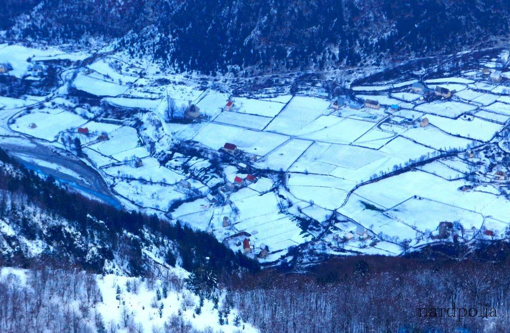 Bujtina Polia