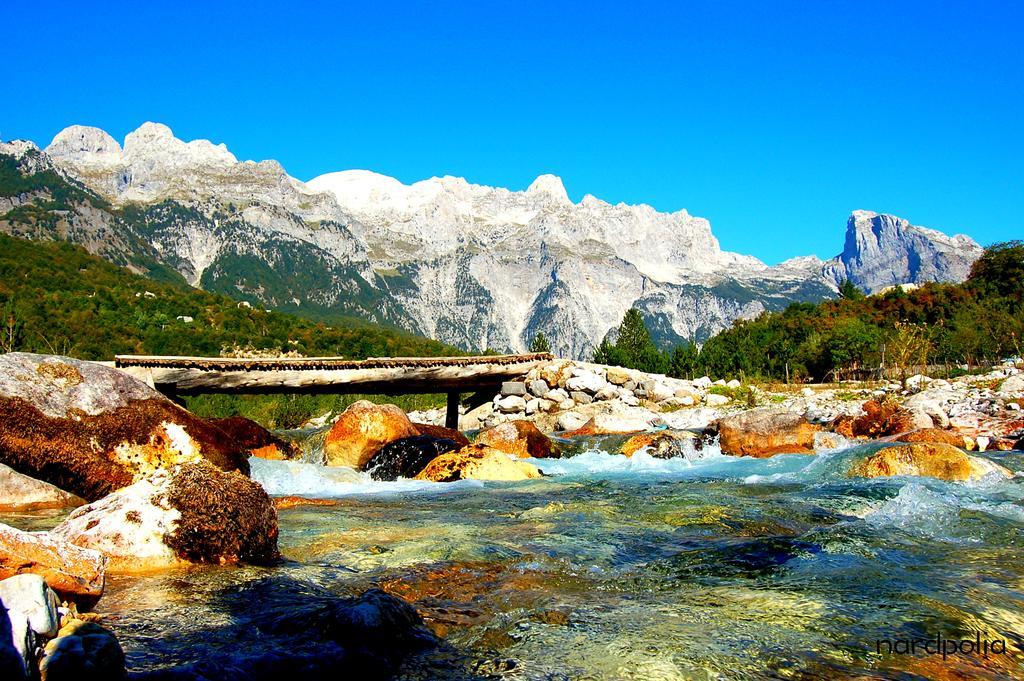 Bujtina Polia