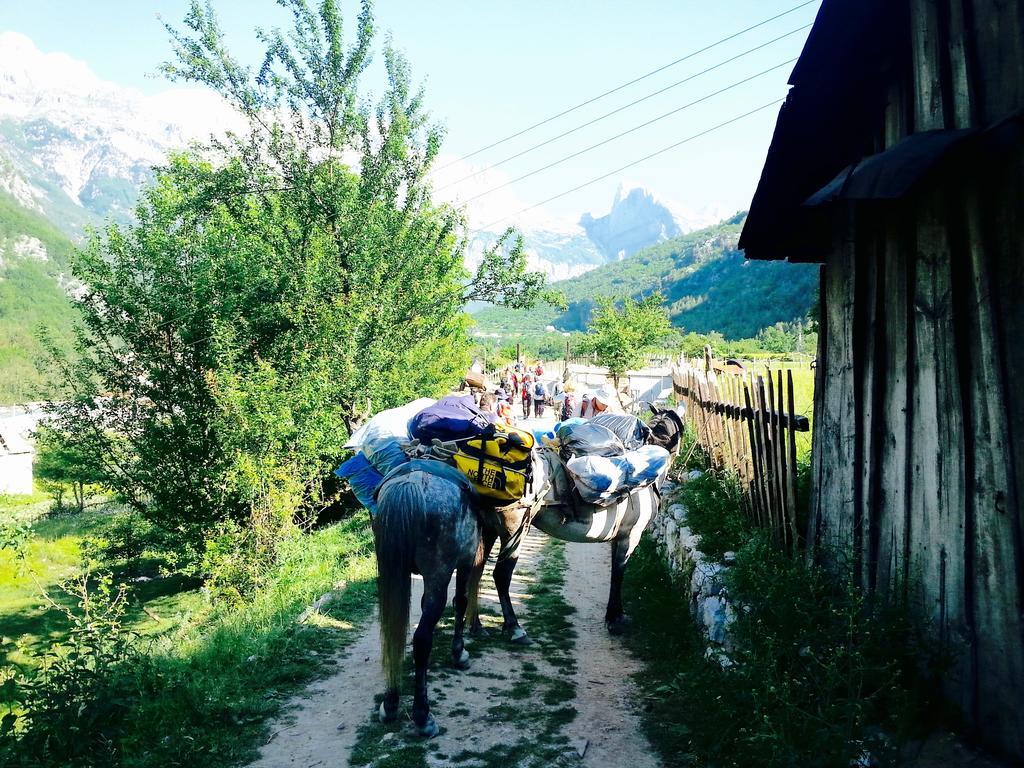 Bujtina Polia * Theth