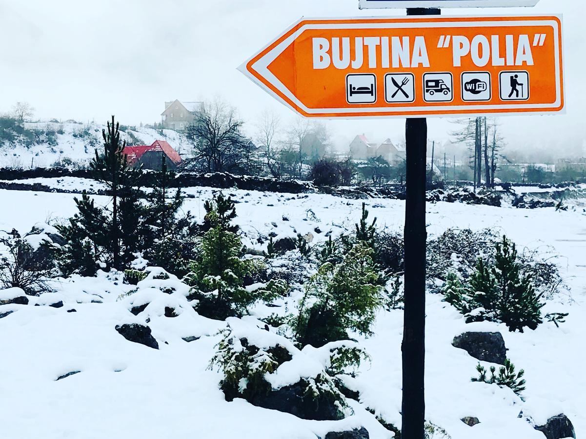Bujtina Polia *